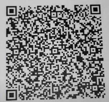 UPI QR Code